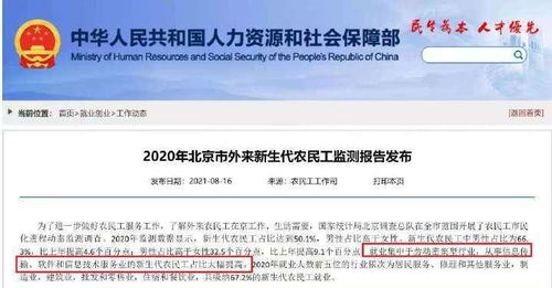 北京軟件信息服務(wù)業(yè)新生代農(nóng)民工占比提升 人才結(jié)構(gòu)新動(dòng)態(tài)背后的機(jī)遇與挑戰(zhàn)